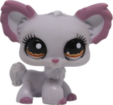 #1138 Chihuahua